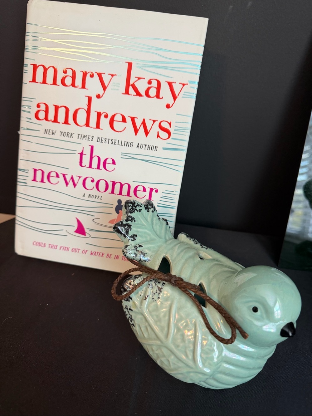 The Newcomer by Mary Kay Andrews